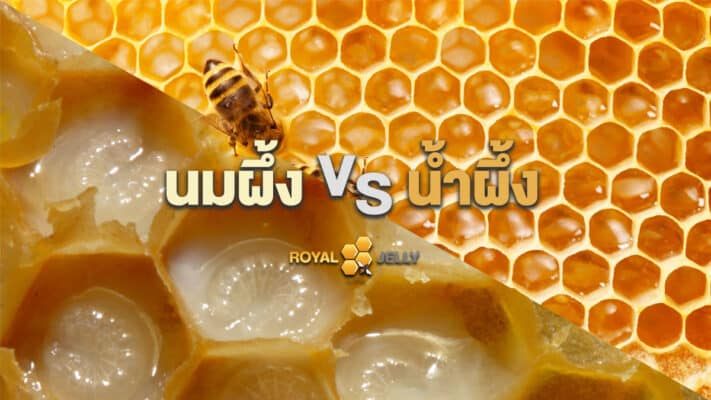 ความแตกต่างระหว่างนมผึ้งกับน้ำผึ้ง